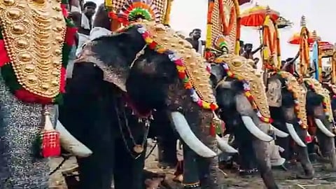 High Court has ruled against elephant processions in temples