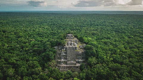 PhD student finds lost city in Mexico jungle by accident