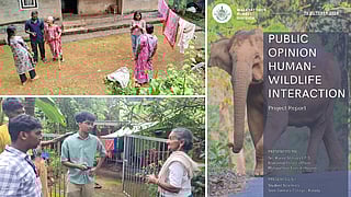 campus to forest; student scientists survey over human- wildlife interaction