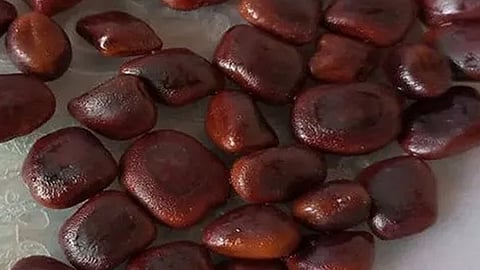 tamarind seed stuck in kids nose