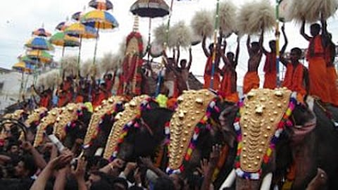 elephants are not human beings and have no human rights: us court
