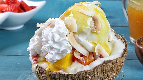 Vegan ice cream with coconut milk first in India Vesta