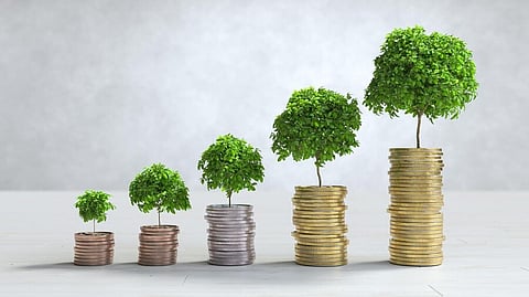 Investment options, proportions in New Year 2025