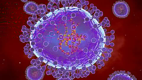 Chinese virologists say new bat coronavirus could infect humans via same route as Covid-19