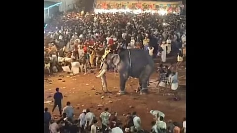 Elephant turn violent during temple event in Malappuram