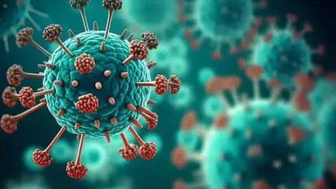 maha govt set up task force 2 new cases of HMPV detected