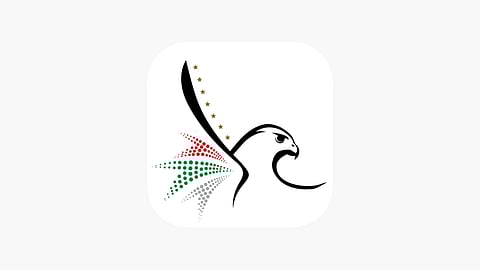 ICP advises passengers to use UAE Fast Track