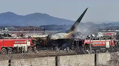 Bird feathers and blood stains in engines; Bird suspected to be the cause of jet crash in South Korea