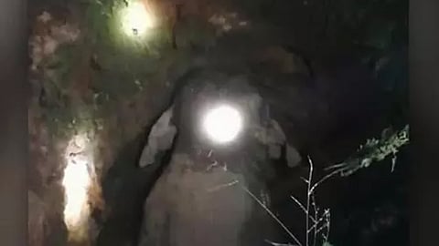 Mission in final stages; Efforts to bring back a wild elephant that fell into a well