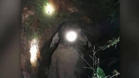 malappuram wild elephant fell in well rescue operations ongoing