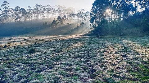munnar temperature is zero degrees