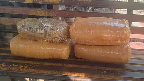 2 women arrested with 15 kg of ganja from Kochi Airport