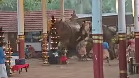 koyilandi elephant attack temple, 3 dead