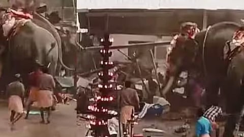 Elephant attack during temple festival in Koyilandy; Parts of deceased Leela's gold necklace found