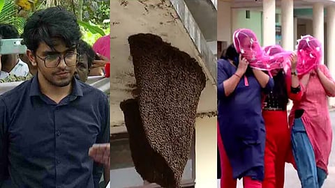 Thiruvananthapuram sub collector and Officers get bee stung