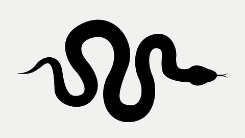 Snake in scooter; panicked woman slips off scooter and falls