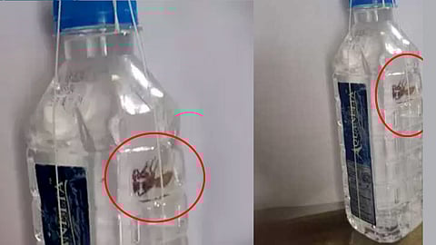 Dead spider found in bottled water in Malappuram company fined