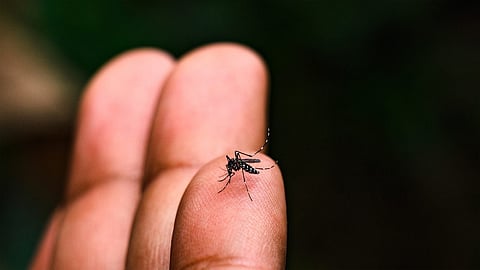 Chikungunya warning Kerala alert