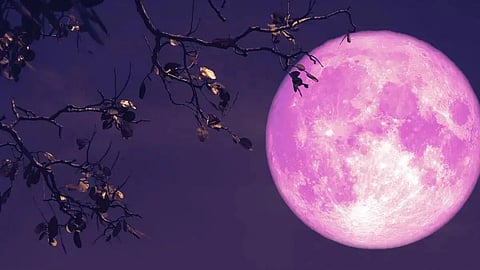 Pink moon on Sunday, can see from India