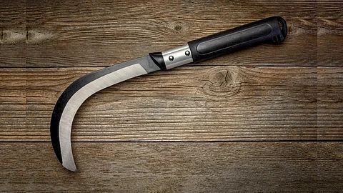 class 8 student attacks classmate with sickle tirunelveli