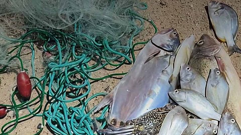 Fishermen arrested for fishing with banned equipment