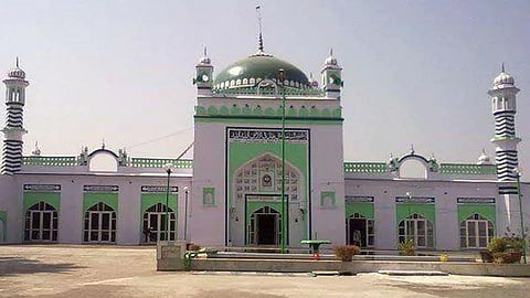 allahabad high court uphold sambhal survey order