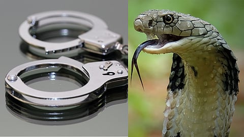 Man sexually assaulted minor by using cobra