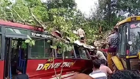 tree falls on private bus 1 injured in malappuram
