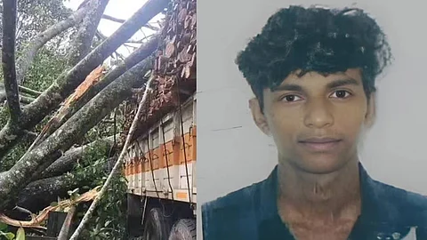 tree falls on lorry one death