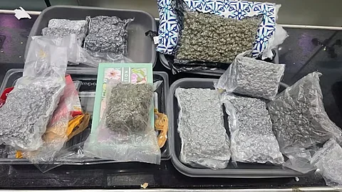 thiruvananthapuram airport 10 crore hybrid cannabis seized