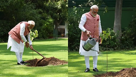 Prime minister Modi plants Sindoor sapling