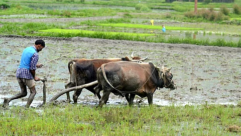 24,000 crores for Pradhan Mantri Dhanana Krishi Yojana