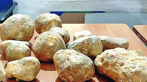 Three arrested with ambergris worth crores in Goa