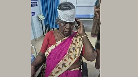 1 injured in wild boar attack kozhikode