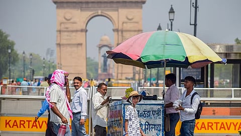 india highest temperature of 2025 in north india