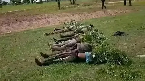 Victims of the Yelwata massacre.