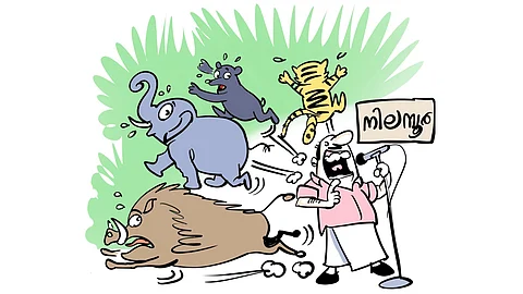 വന്യമൃഗ ശല്യം ഗൗരവമായി തന്നെ കാണണം | Human animal conflict