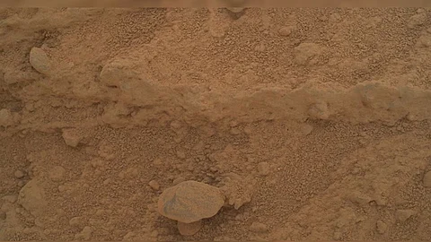 Mushroom on Mars?