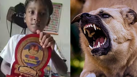 kannur 5 year old died despite of rabies vaccination