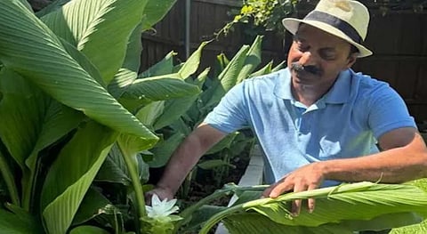 Sunny Kattu Vettykal, harvesting turmeric on American soil