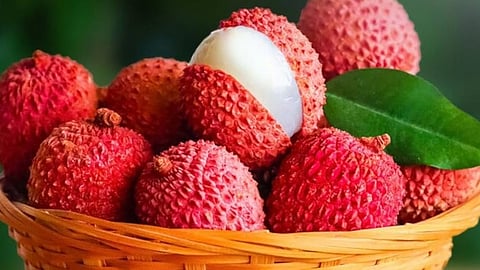 India exported litchi from Punjab to UAE, Qatar: APEDA