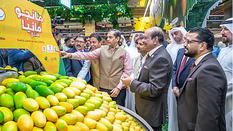 'Indian Mango Mania' begins at Lulu Hypermarkets