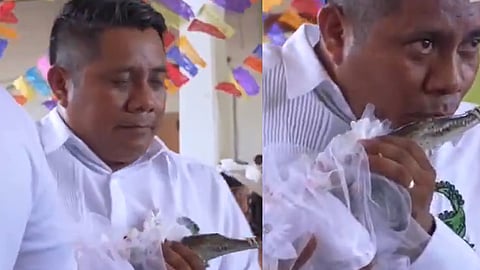 Mexico mayor marry crocodile