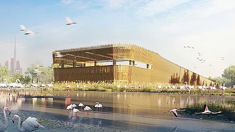Dubais Ras Al Khor Wildlife Sanctuary to receive Dh650 million in development projects