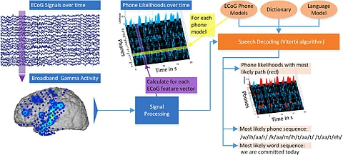 Australian scientists turn brain waves into text