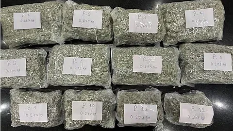 Coimbatore airport 7 crores worth hydro cannabis