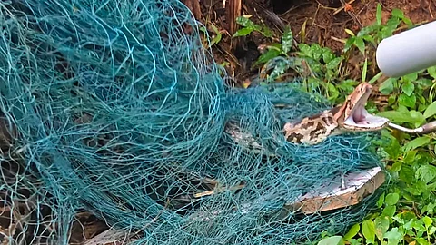 python captured