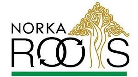 Norka Care Insurance: Norka team with a month-long Gulf campaign