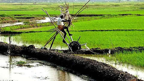 Agricultural prosperity through water and soil management