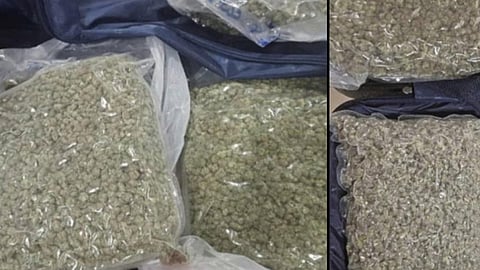 hybrid ganja seized at nedumbassery airport